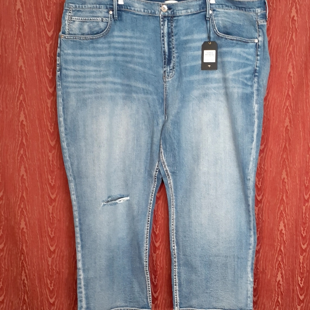 SERRA RETREAT Stretch Ankle Blue Denim Jeans Women's Size 28W NWT
